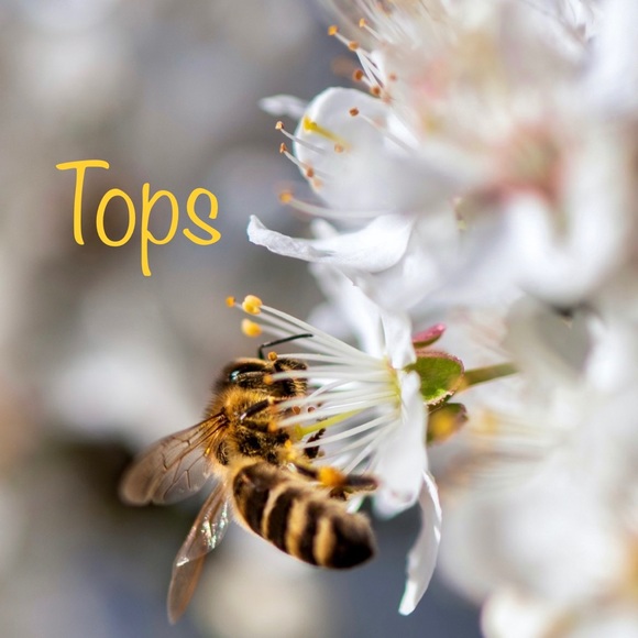 Tops - Picture 1 of 1